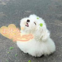 2回目??