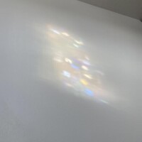 ごめんね?
