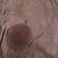 あゆの