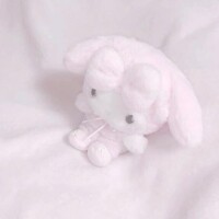 ゆゆ