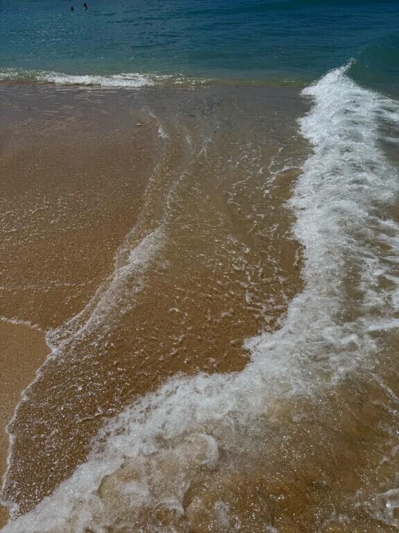 本日もお休みです