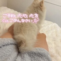 ごめんなさい