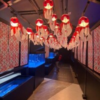 ありがとう?(^_  ? _^?)