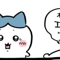 お休みします???