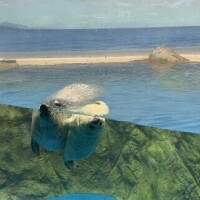 アクセスあるのにもったいない