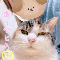 日曜日のありがとうの気持ち(? ?.  ? .??)??