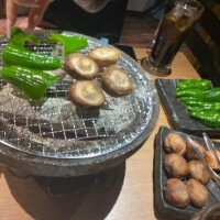 シコティッシュホールド