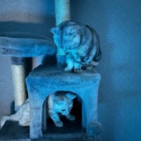 ?変更すみません?