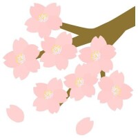 咲いてきたねー