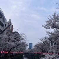 [お題]from:宴会部長さん