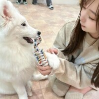 今日もやさしい気持ちで?