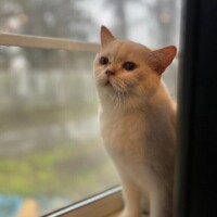 出勤～！