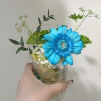 29日お越しのお兄様へ