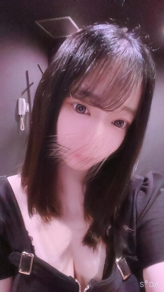 しゅっきんしてるよん