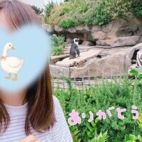 しらゆき