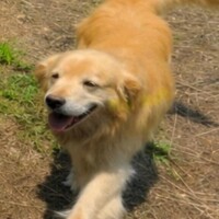 こゆき