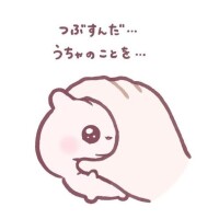 おやすみッ