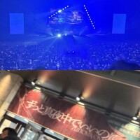 わぁーーー！
