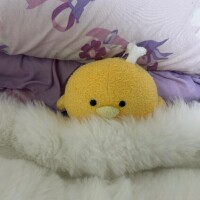 すみません?