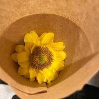 ひまわり?