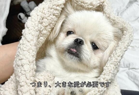 ??