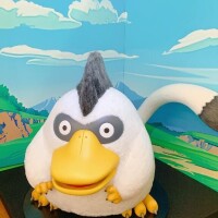 わた　完全業界未経験
