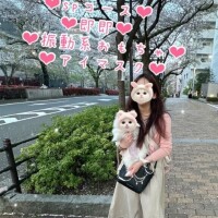 むかってませ?