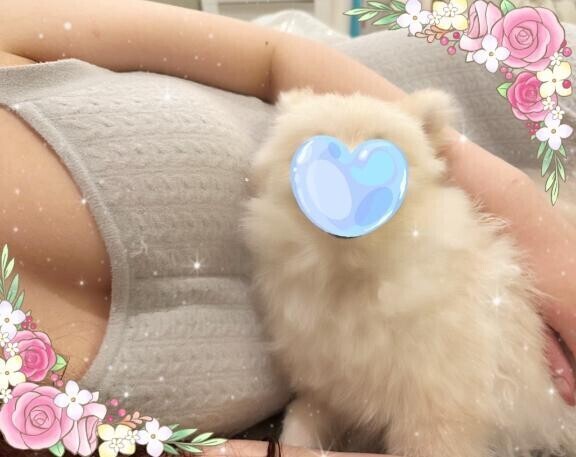 クゥンって可愛い