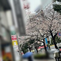 まとまり次第あげます！