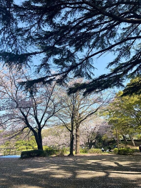?情報‥季節はずれだね～