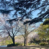 ?情報‥季節はずれだね～