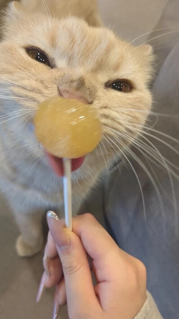 本指名様へ‼️