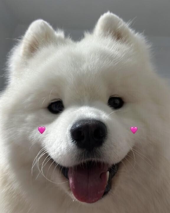 たくさん🙏🏻❣️