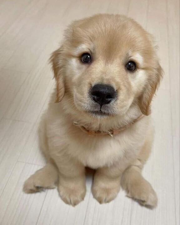 感謝🙏🏻❣️