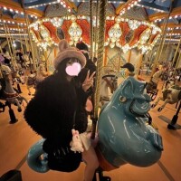 夜な夜な、、🥺💓