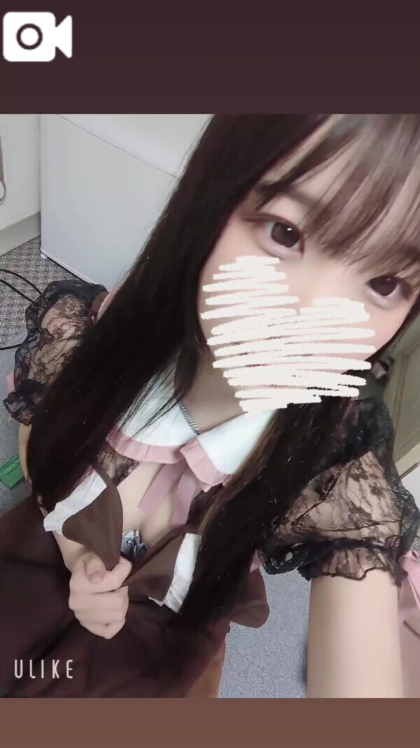 おはに〜🐱