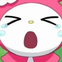 お知らせ📣