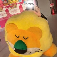 癒されに💭🦁