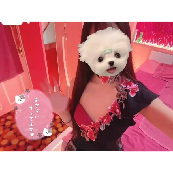 ❤︎ 残り3日間 ❤︎