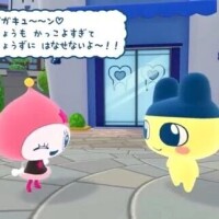 フォローしてね‼️