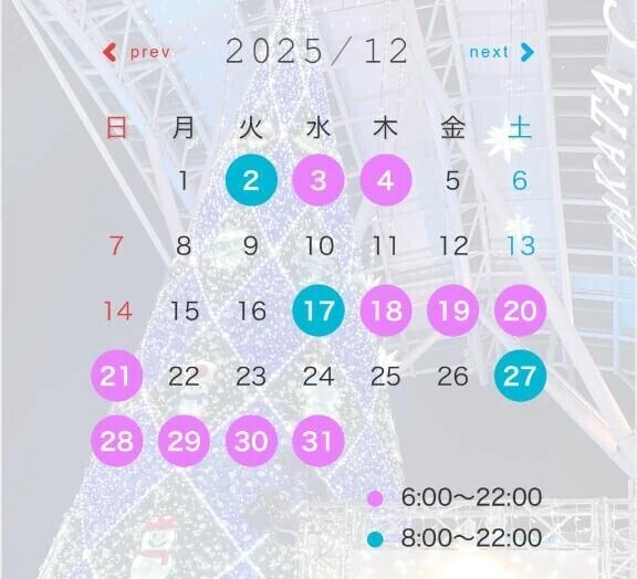 12月出勤予定✨