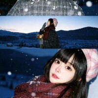 🩶りんか取扱説明書🩶