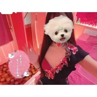 ‪‪❤︎‬ ここまでノンストップ ‪‪❤︎‬