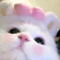 ごめんなさい💦