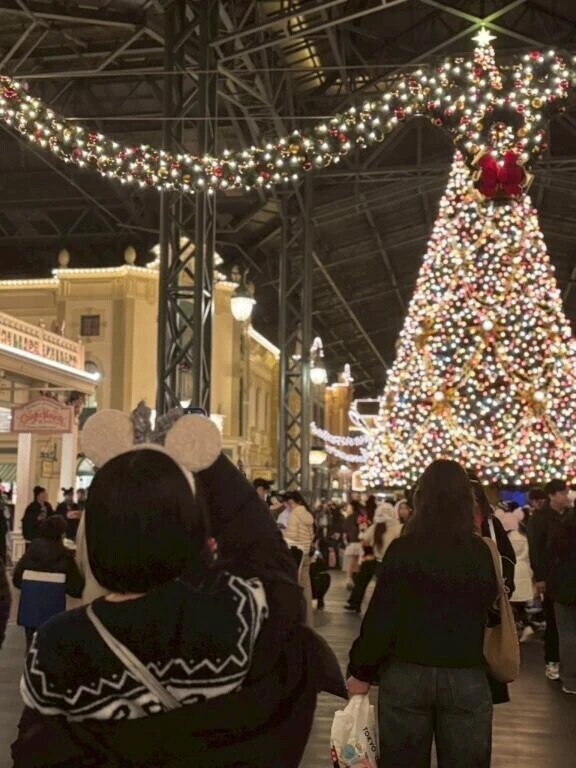 大きなツリー🎄🩶