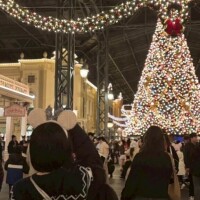 大きなツリー🎄🩶