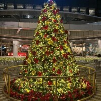 ころころ🙂➰🙃