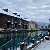 ネット開放しました