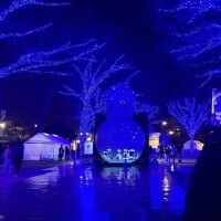 本当にごめんなさい