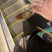 千葉着いてます🍀